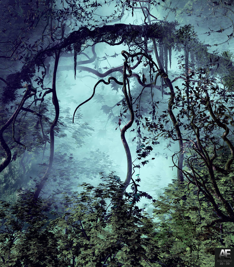 Foggy Forest Jungle Wallpaper
