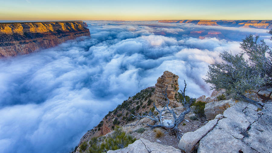 Foggy Morning In Grand Canyon Wallpaper