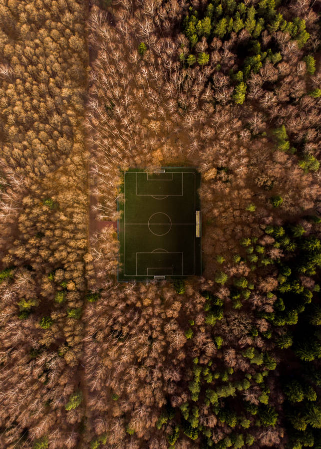 Football Field Aerial Wallpaper