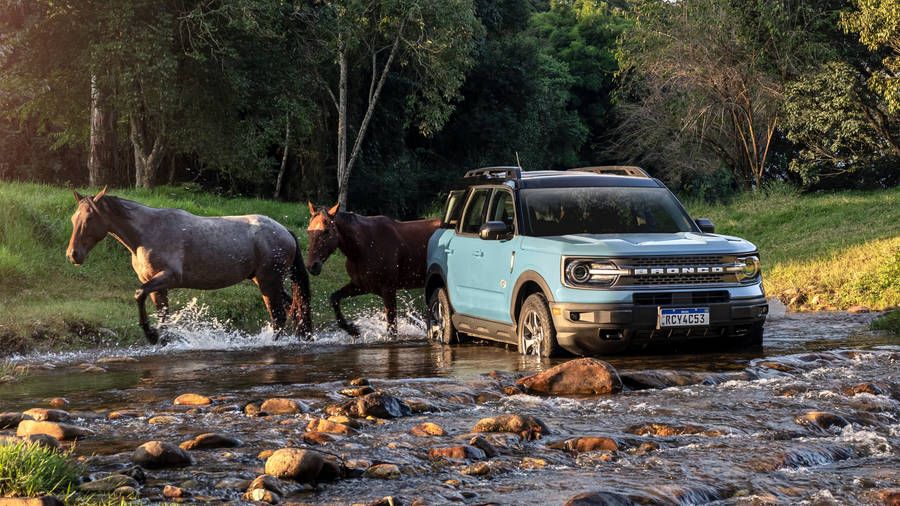 Ford Bronco With Two Horses Wallpaper