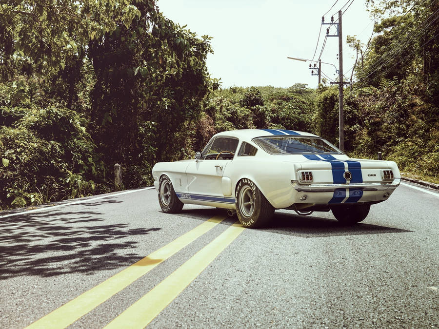 Ford Shelby Gt350 1965 Wallpaper