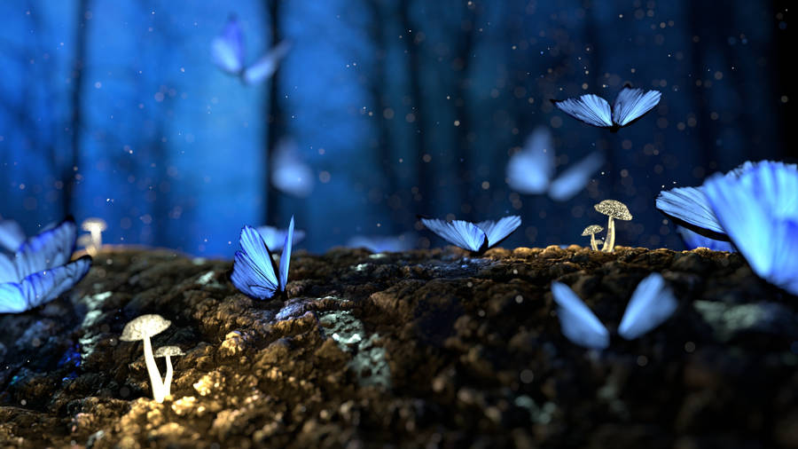 Forest Floor Night Butterfly Wallpaper