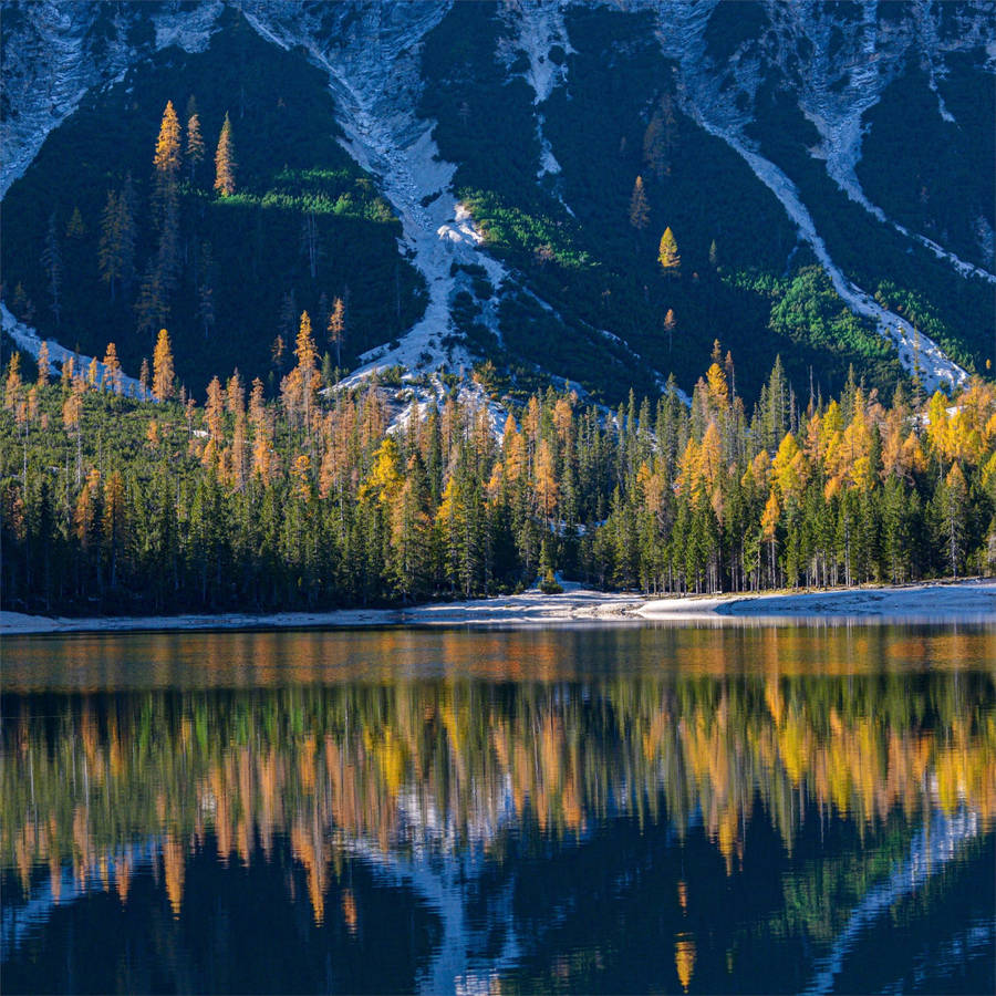 Forest Lake Braies Wallpaper