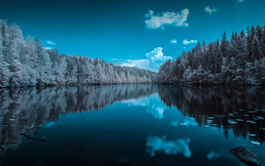 Forest Lake In Finland Wallpaper