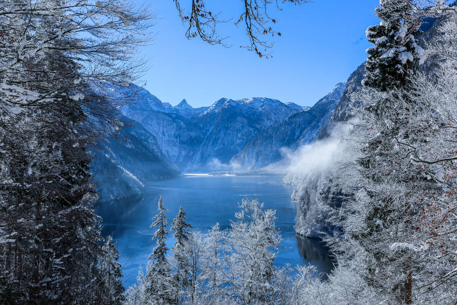 Forest Lake Königssee Wallpaper