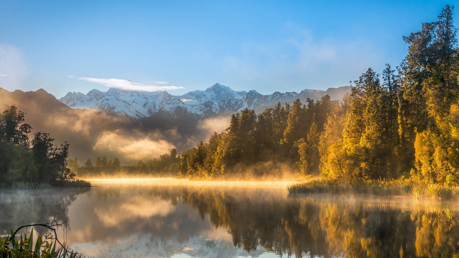 Forest Lake Matheson Wallpaper