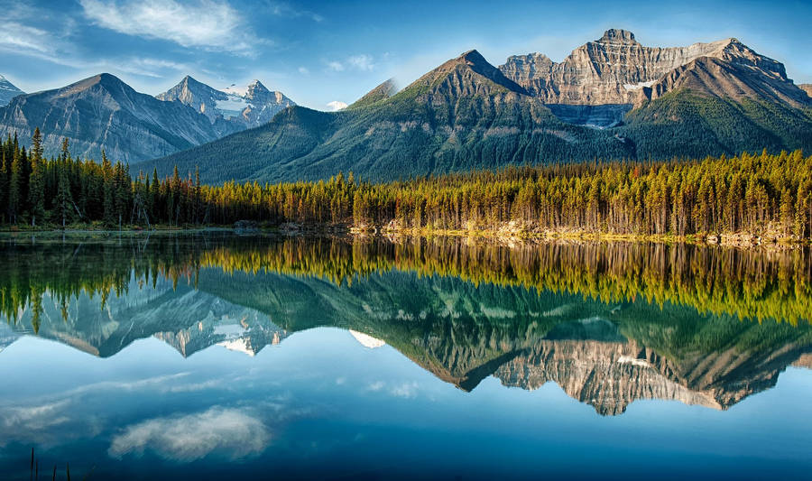 Forest Lake Mountain Range Wallpaper