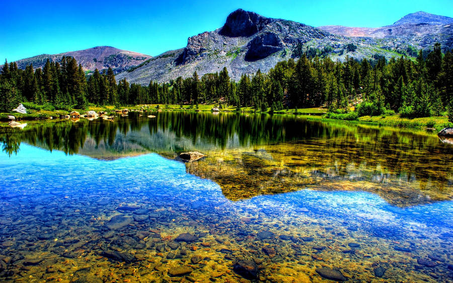 Forest Lake Tahoe Wallpaper