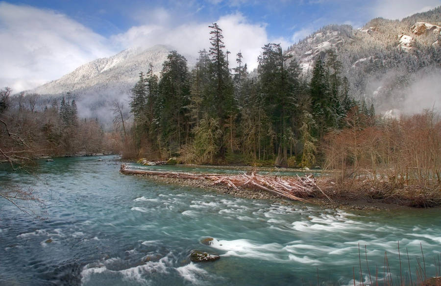 Forks Washington Forest And Mountain Wallpaper