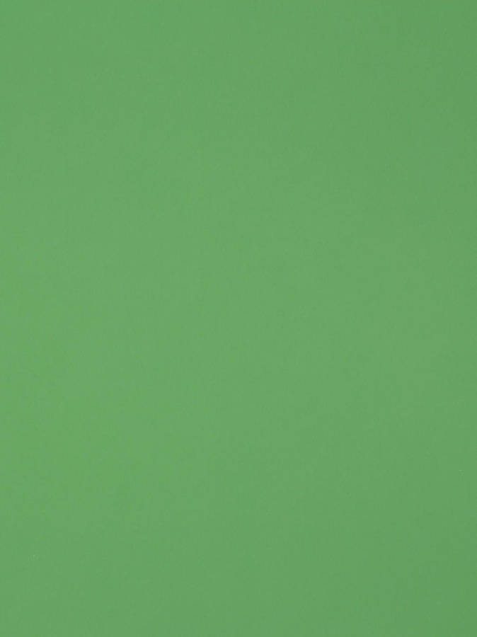 Formica Vibrant Light Green Plain Wallpaper