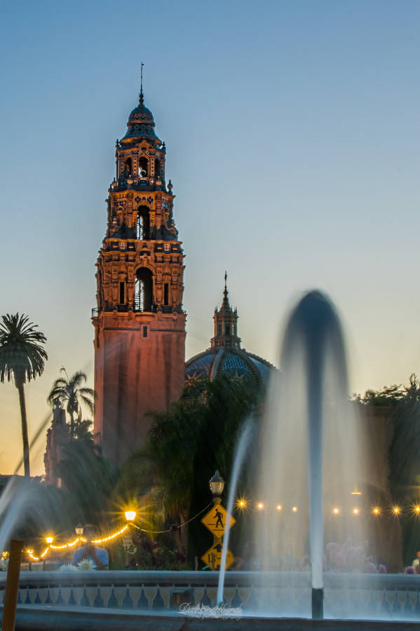 Fountain Inside Balboa Park Wallpaper