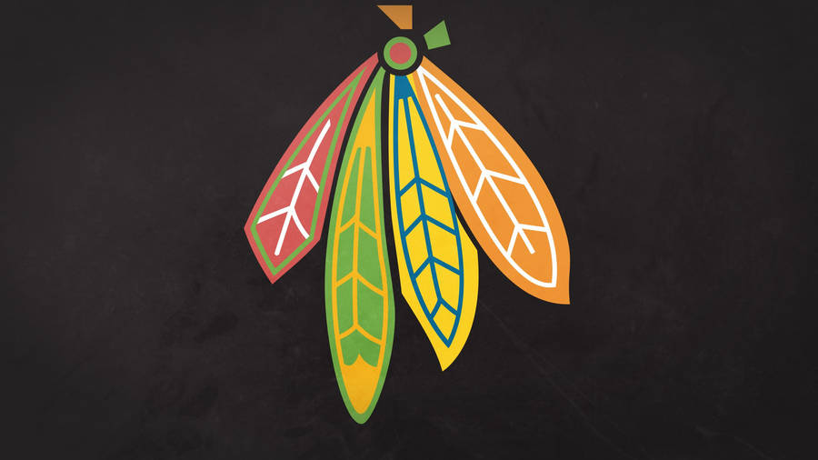 Four Feathers Chicago Blackhawks Wallpaper