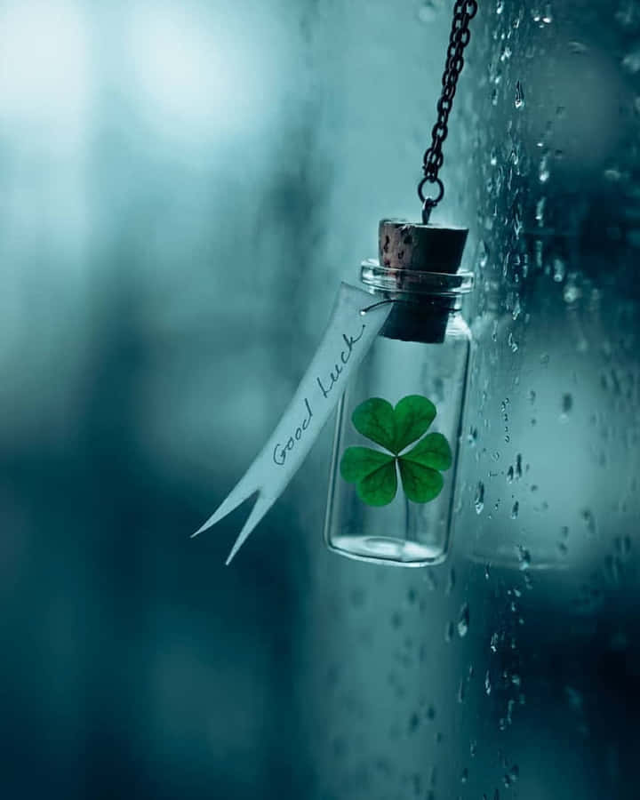 Four Leaf Cloverin Bottle Good Luck Charm Wallpaper