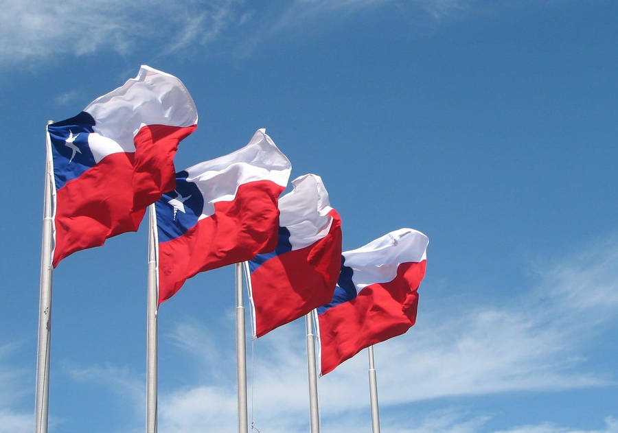 Four Texas Flags Wallpaper