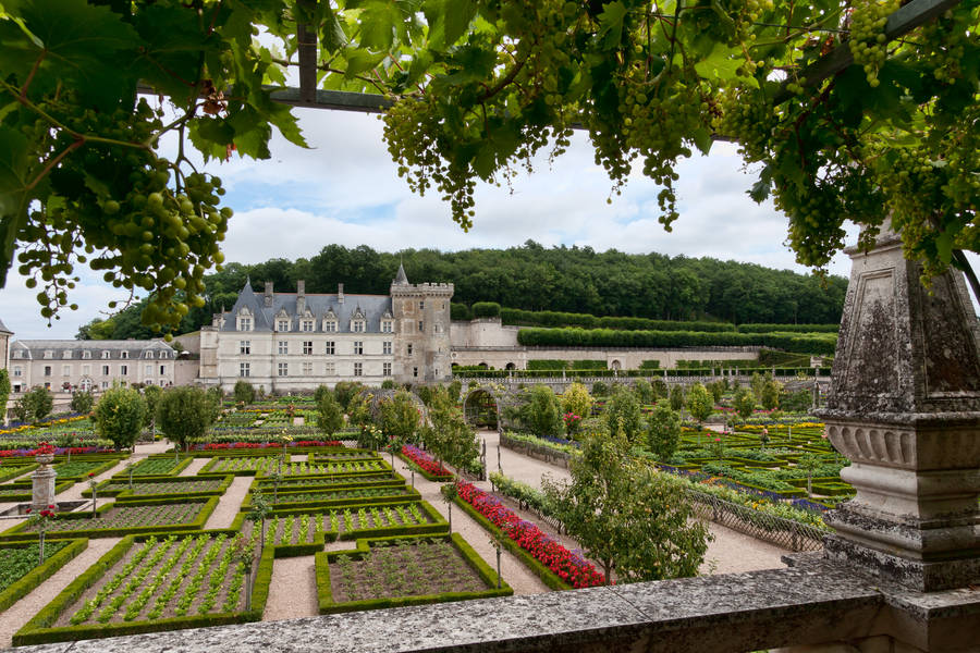 France's Garden Of Villandry Wallpaper