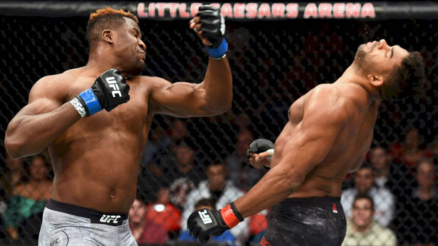 Francis Ngannou Punching Alistair Overeem Wallpaper