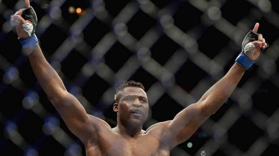 Francis Ngannou Victorious Wallpaper