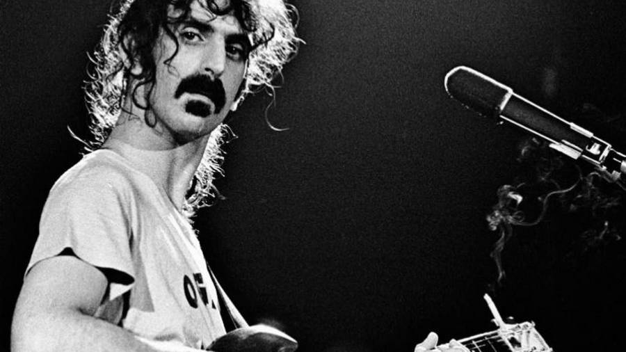 Frank Zappa Gaze Wallpaper
