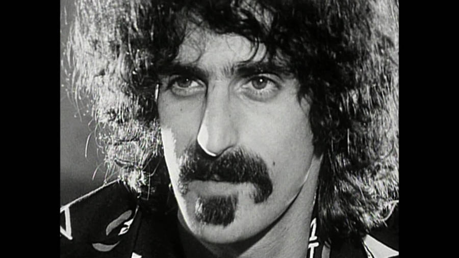 Frank Zappa Mustache Wallpaper