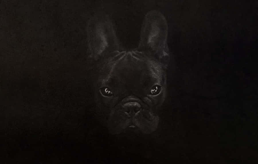 French Bulldog Fierce Look Black Camouflage Wallpaper