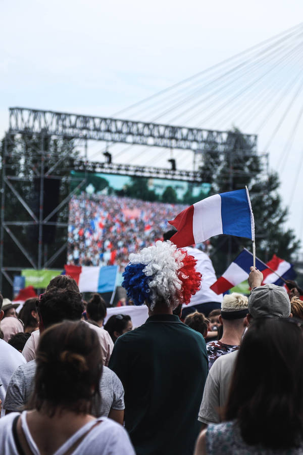 French Fanatics World Cup Wallpaper