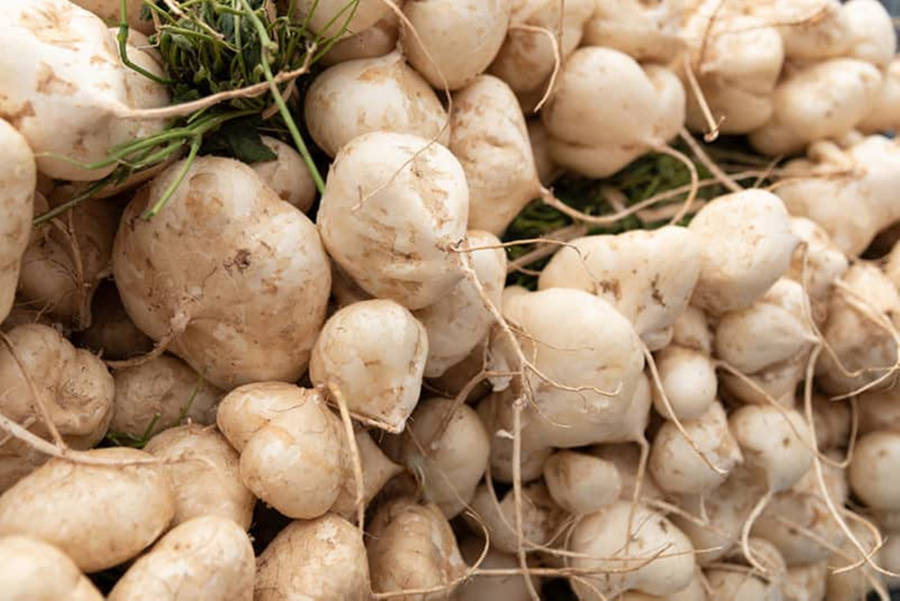 Fresh And Raw Jicama Root Wallpaper