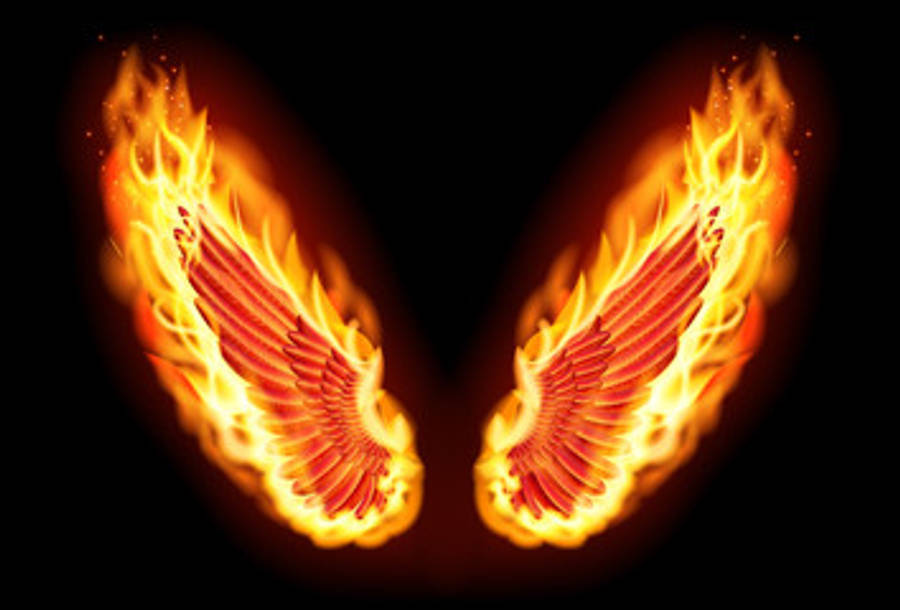 Fresh And Spicy Fire Wings Wallpaper