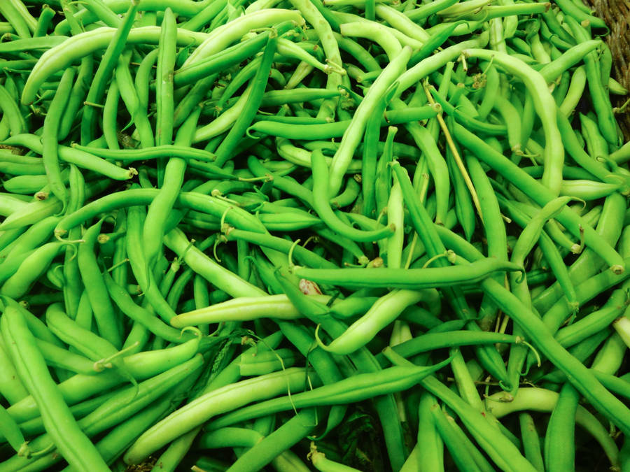 Fresh And Vibrant Green Beans Wallpaper