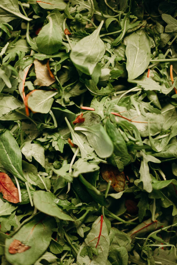 Fresh And Vibrant Spinach Close-up Wallpaper