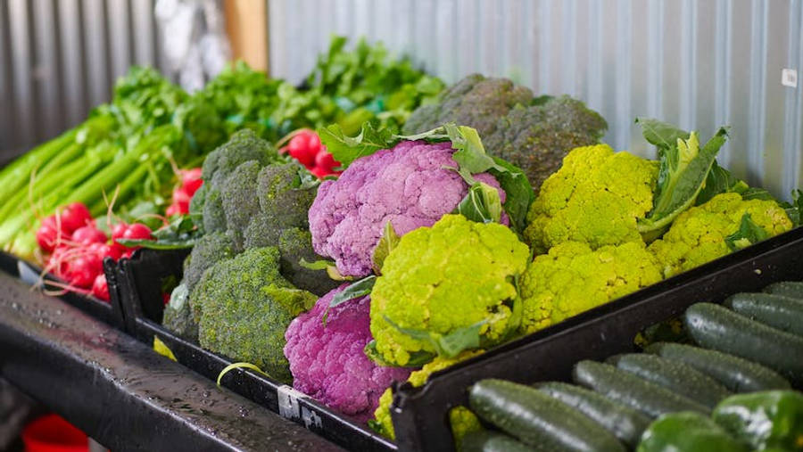 Fresh Cauliflower Harvest In Crates Wallpaper