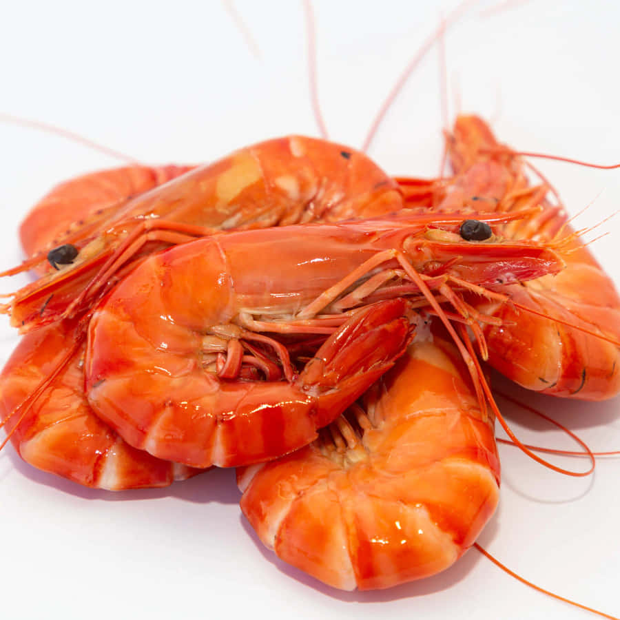 Fresh Cooked Prawns White Background Wallpaper