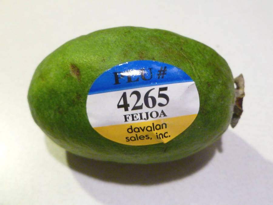 Fresh Feijoa For Sale Wallpaper