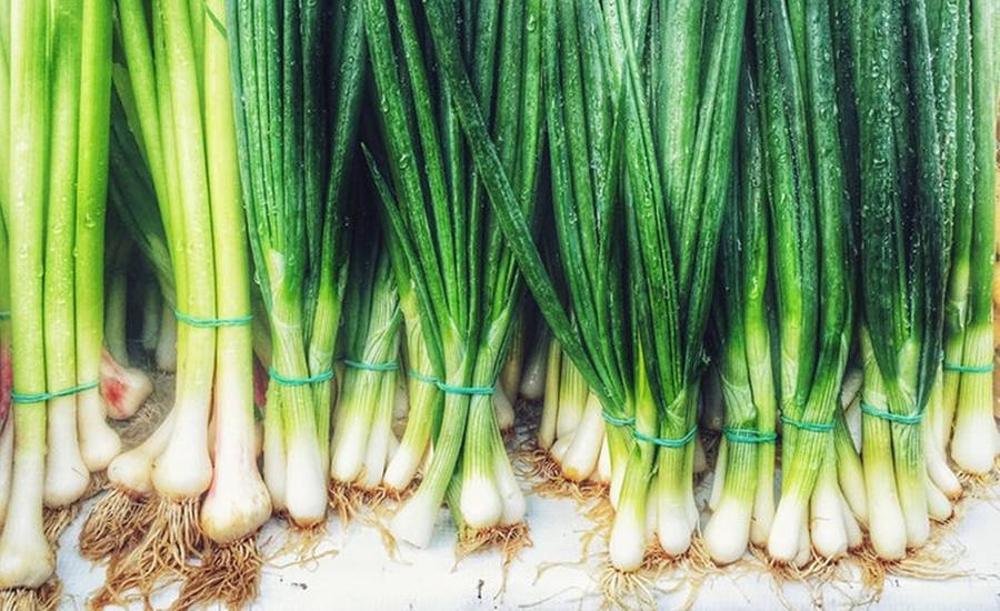 Fresh Green Onions In Bundles Wallpaper