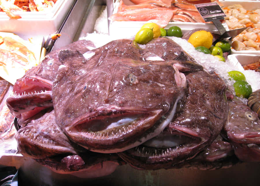 Fresh Monkfishon Iceat Seafood Market Wallpaper