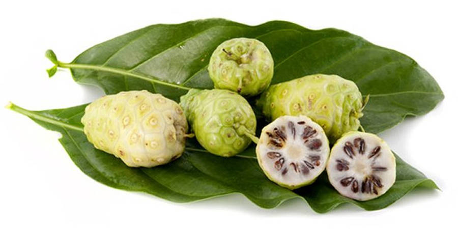 Fresh Noni Fruits With Lush Green Leaves Wallpaper