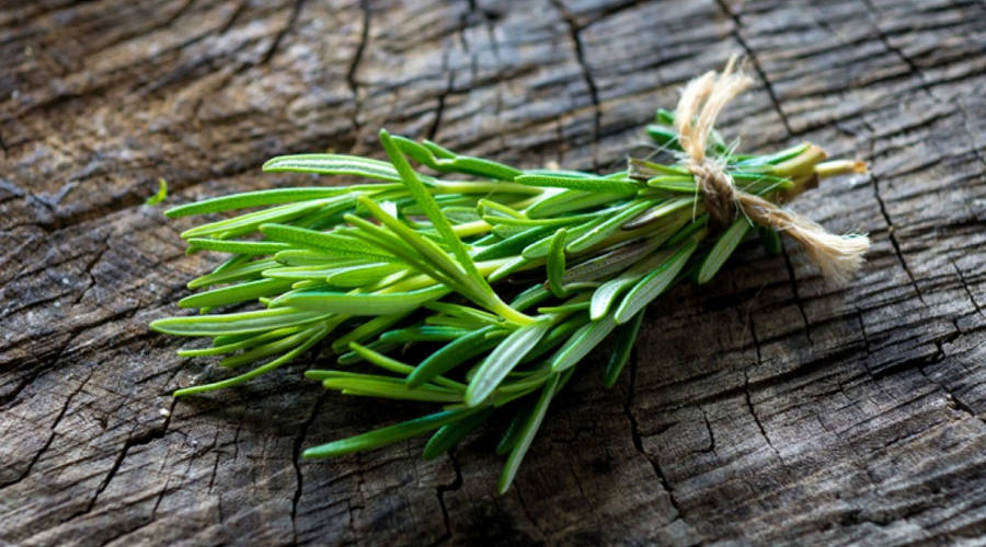 Fresh Sprigs Of Rosemary On Dark Wood Wallpaper