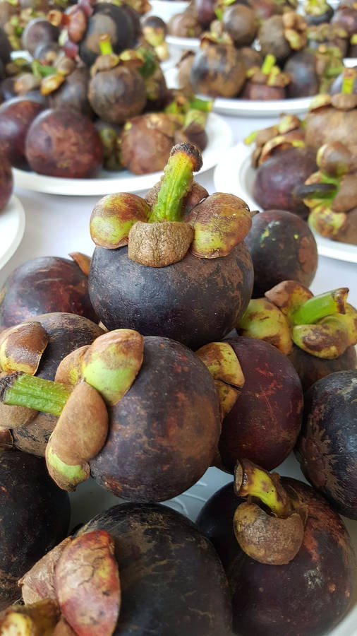 Fresh Tropical Mangosteen Fruit In Costa Rica Wallpaper