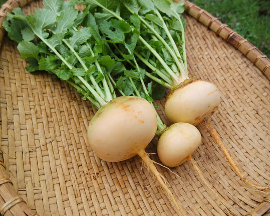 Fresh Turnips In A Bamboo Tray Wallpaper