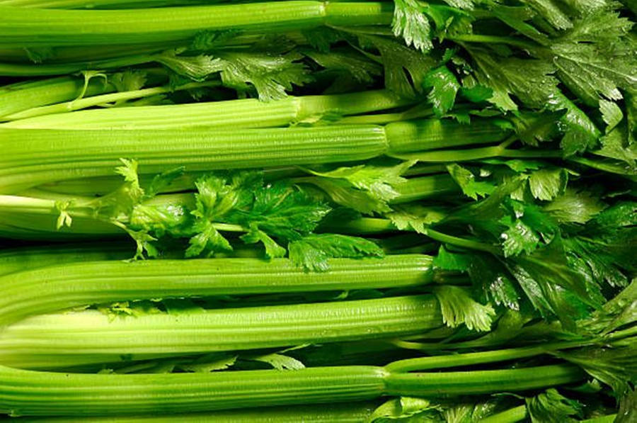 Fresh Washed Celery Bundle Wallpaper