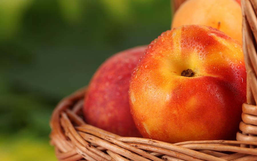 Freshly Handpicked Apple Fruit Wallpaper