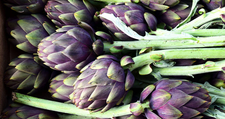 Freshly Harvested Violet Artichoke Vegetables Wallpaper