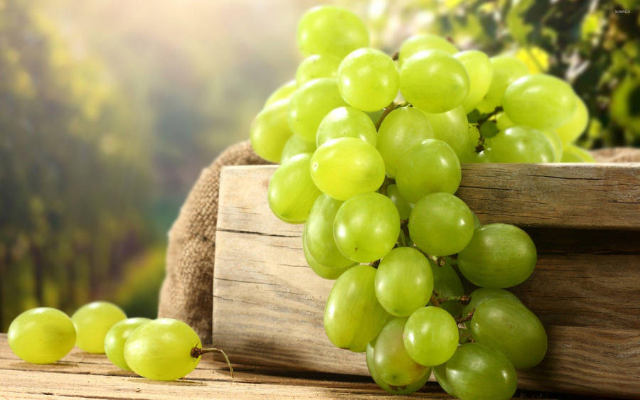 Freshly Picked Dominga Grapes Wallpaper