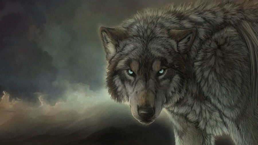 Frowning Wolf Desktop Wallpaper