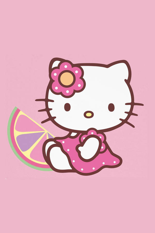 Fruit Slice And Hello Kitty Pfp Wallpaper