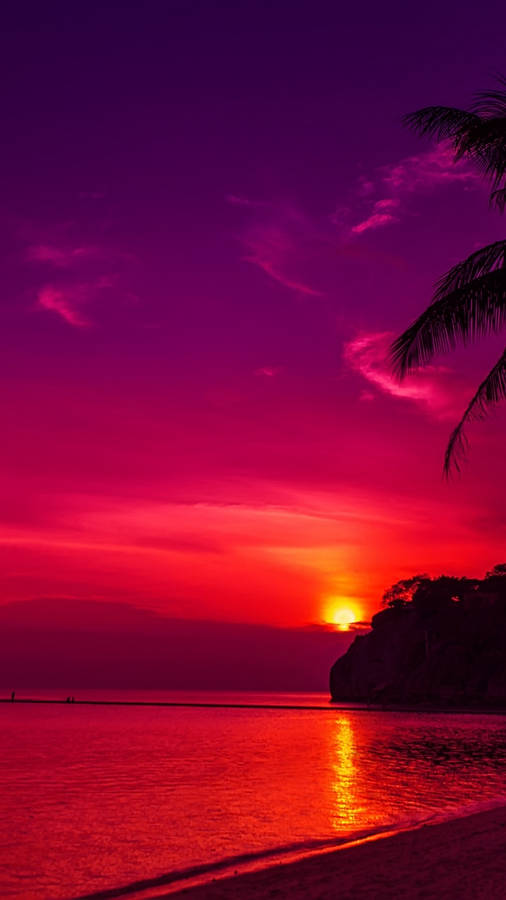 Fuchsia Pink Gradient Sunset Sky Wallpaper