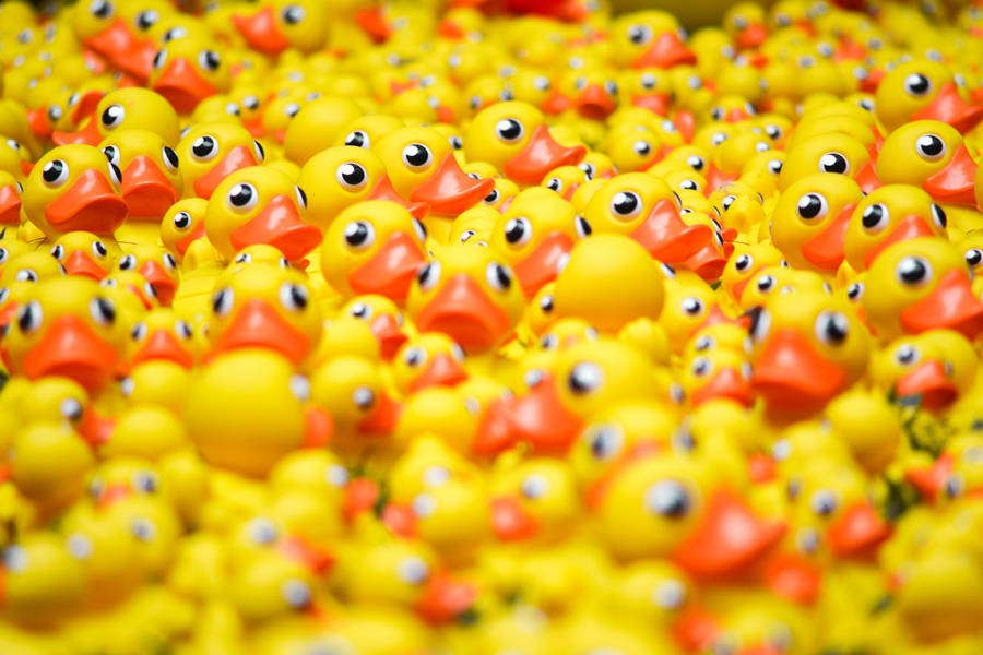 Full 4k Desktop Image Of Colorful Rubber Ducks Wallpaper