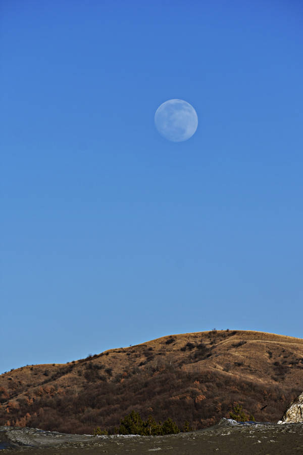 Full Moon In Blue Sky Wallpaper