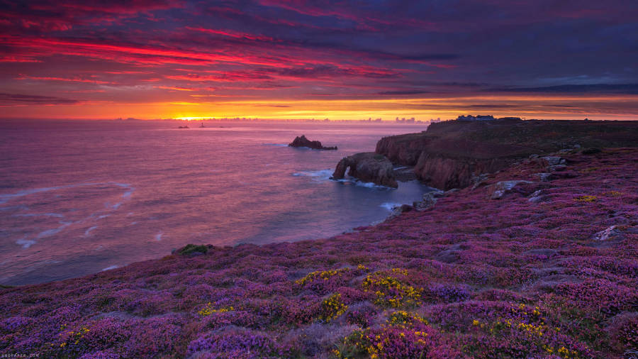 Full Screen 4k Flowers Field And Ocean Wallpaper