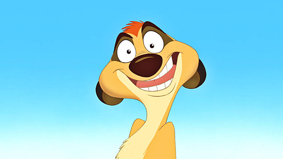 Fun Timon Smile Wallpaper