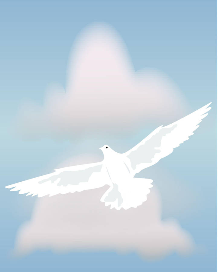 Funeral Dove Artwork Wallpaper